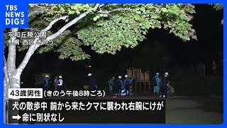 Sapporo Park Closed After Bear Attack On Dog Walker