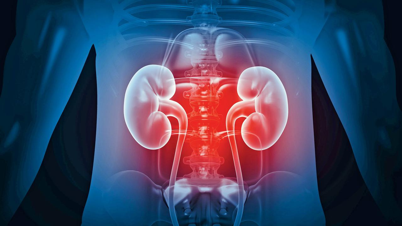 Enzyme-based kidney conversion allows transplant from type A to universal type O