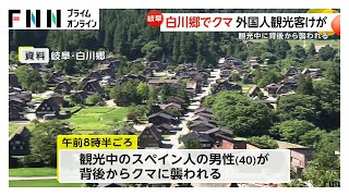 Spanish Tourist Injured in Bear Attack at World Heritage Shirakawa-go