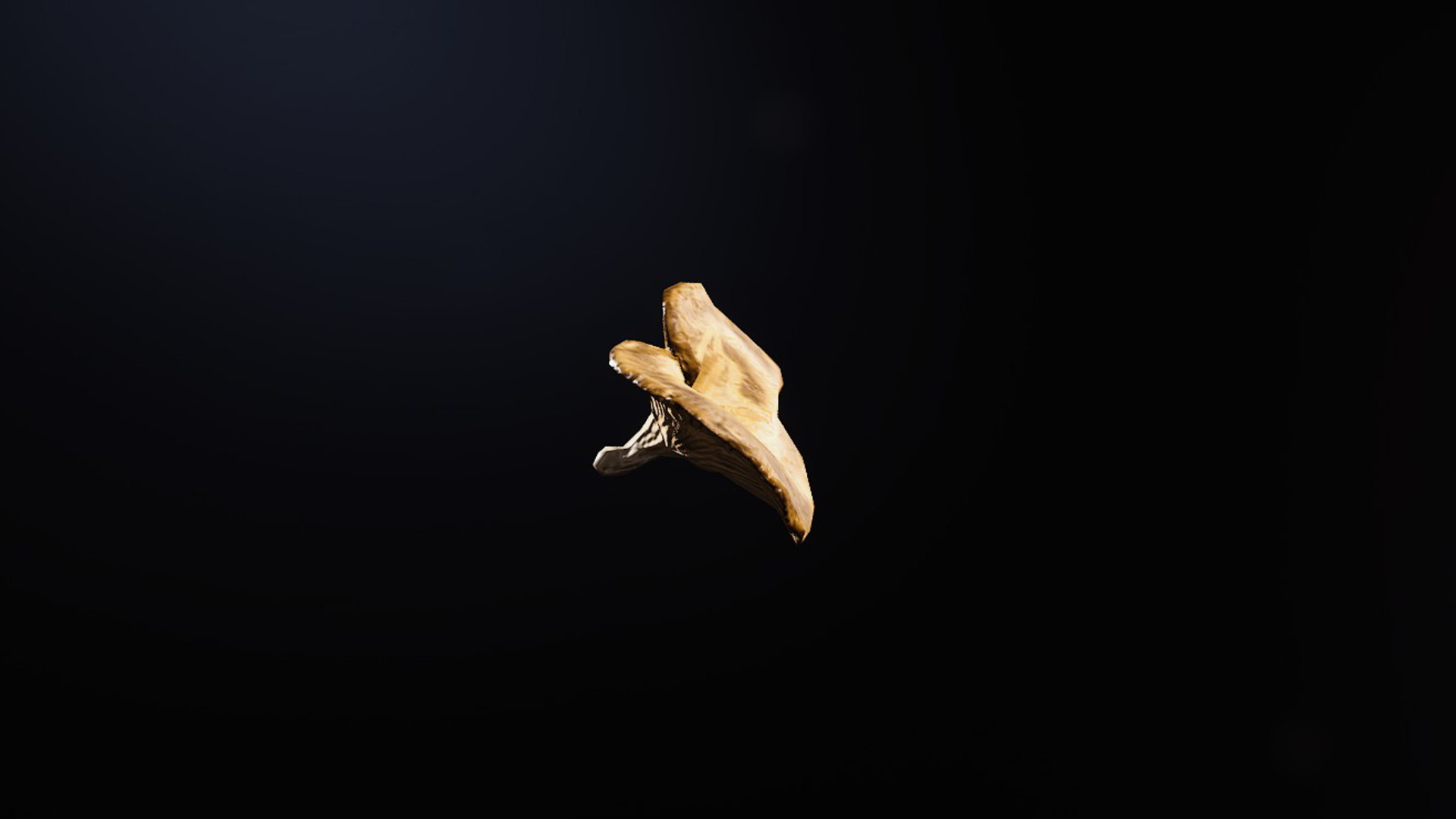 Where to find Mushrooms – ARC Raiders