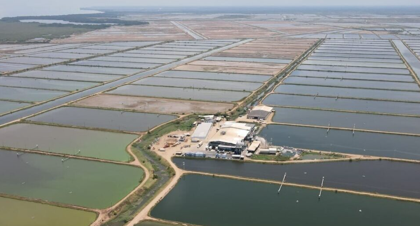 Daily recap: Turkish firm is Lamar investor; Canada’s winter lobster season opens amid market woes